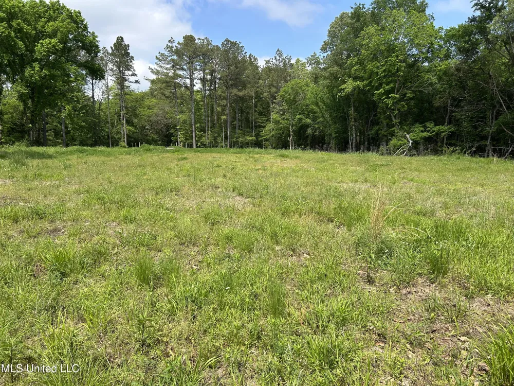 4315 Crockett Road Sarah, MS 38665