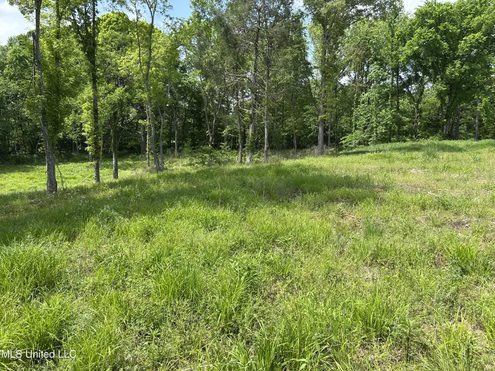 4315 Crockett Road Sarah, MS 38665