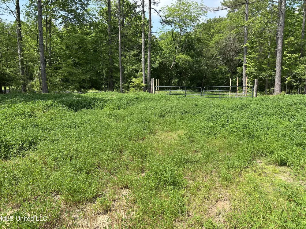 4315 Crockett Road Sarah, MS 38665