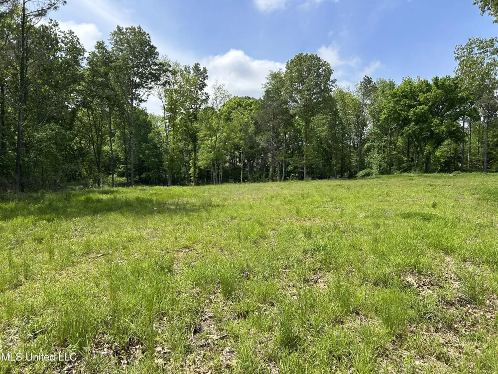 4315 Crockett Road Sarah, MS 38665