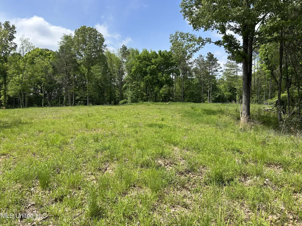 4315 Crockett Road Sarah, MS 38665