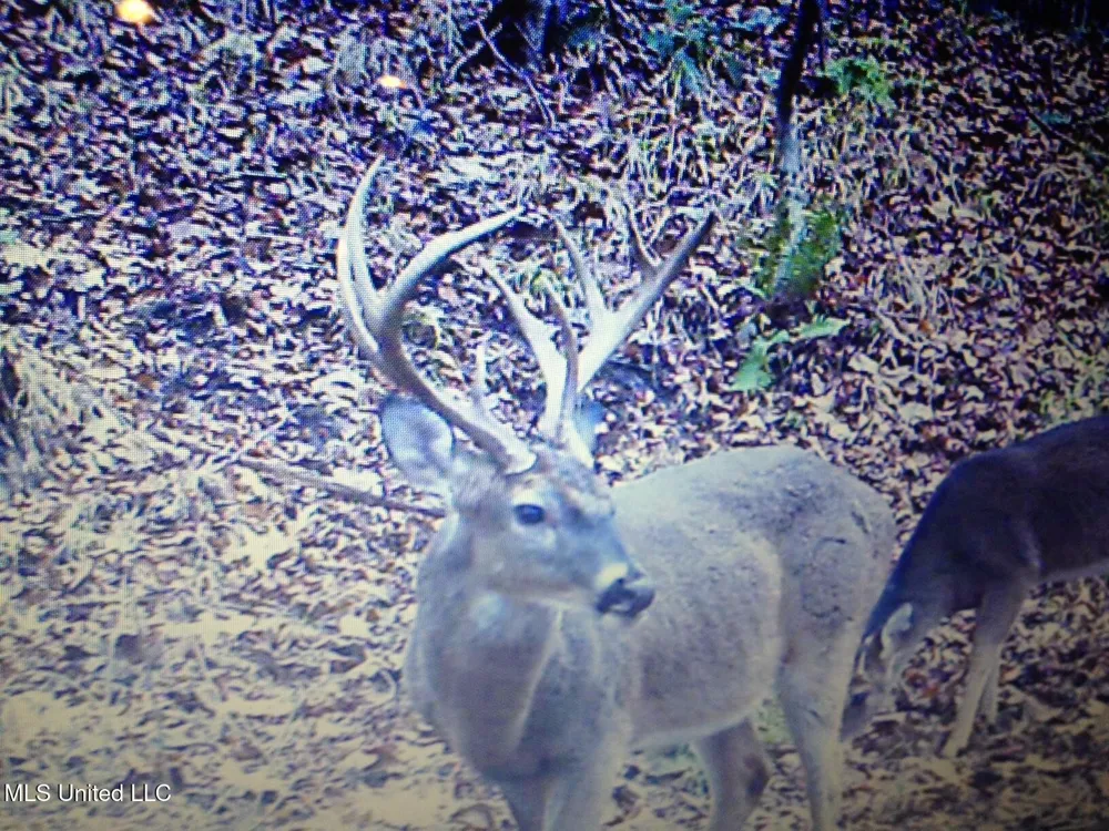 553 Murray Road Vicksburg, MS 39183