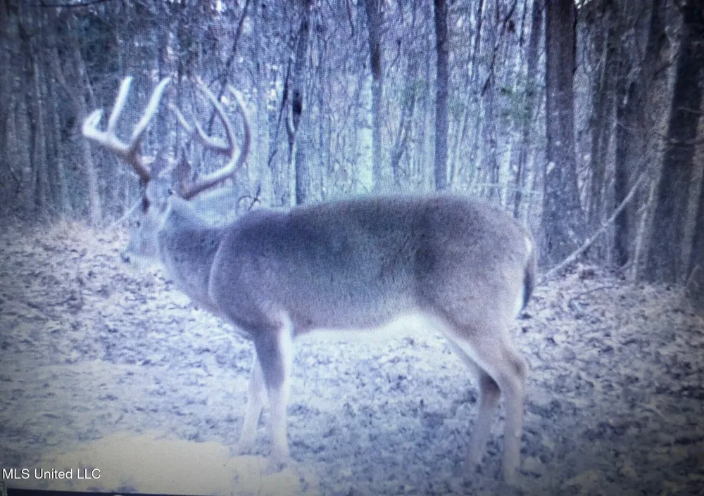 553 Murray Road Vicksburg, MS 39183