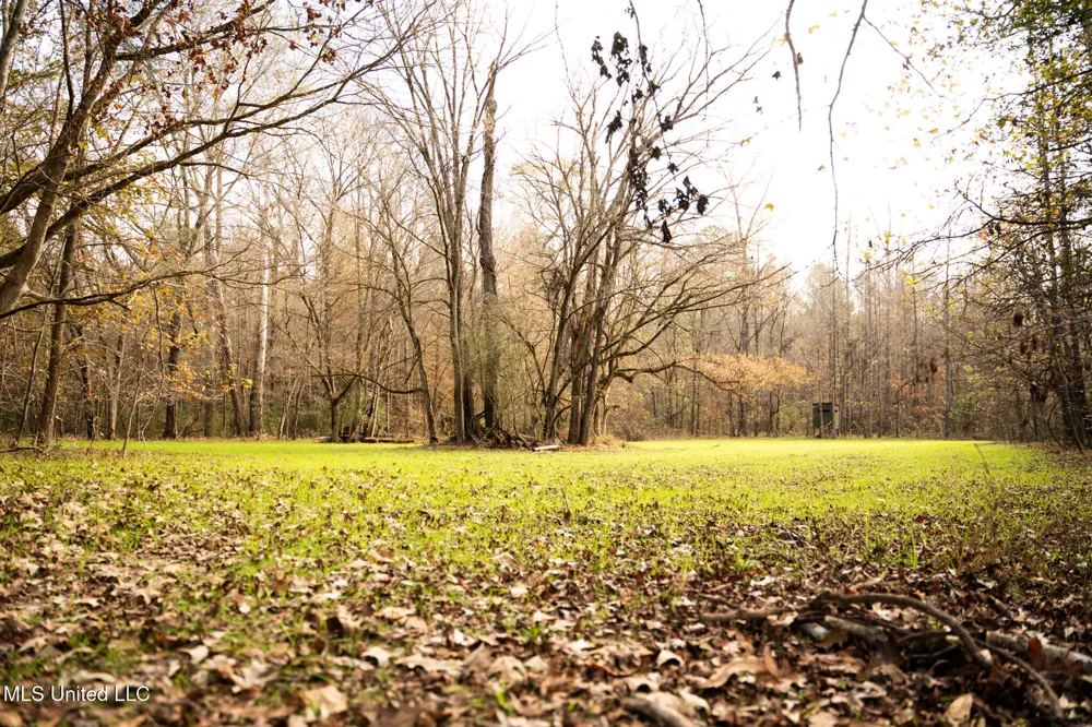 553 Murray Road Vicksburg, MS 39183