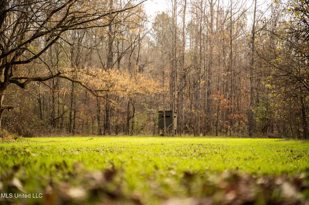 553 Murray Road Vicksburg, MS 39183