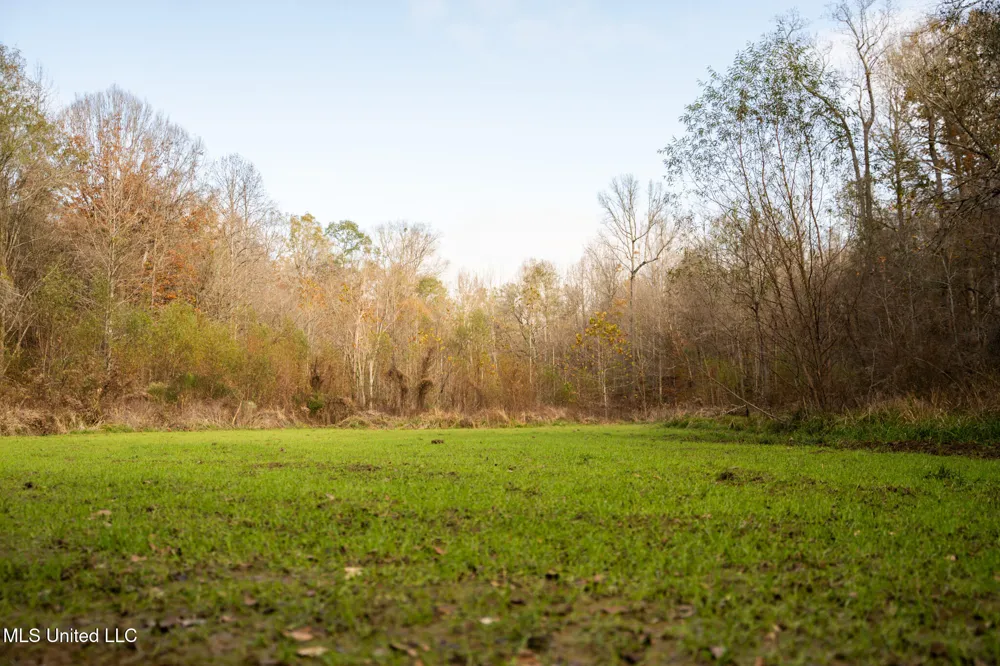 553 Murray Road Vicksburg, MS 39183