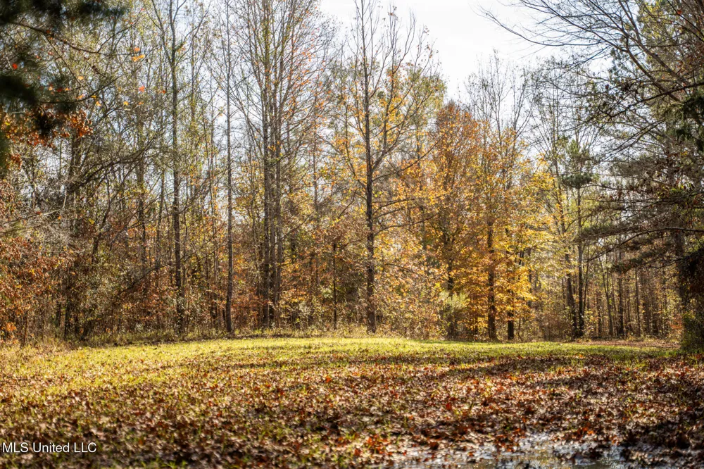 553 Murray Road Vicksburg, MS 39183
