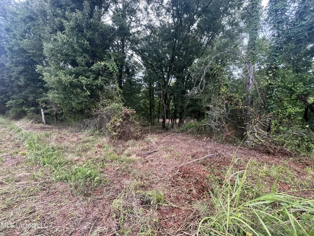 0 Ms-18 Raymond, MS 39154