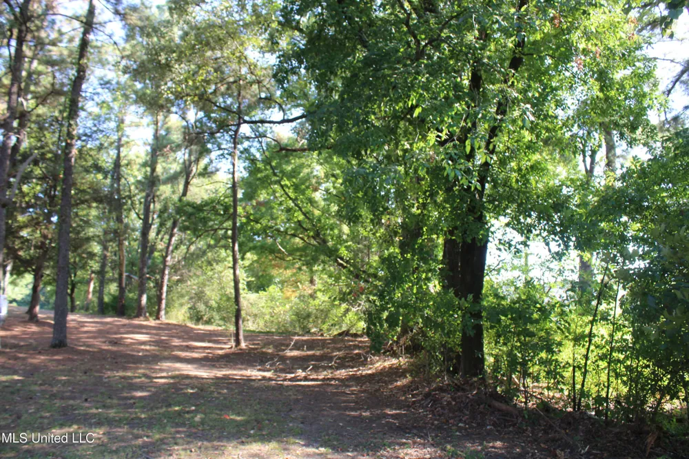 771 W Church Road Southaven, MS 38671
