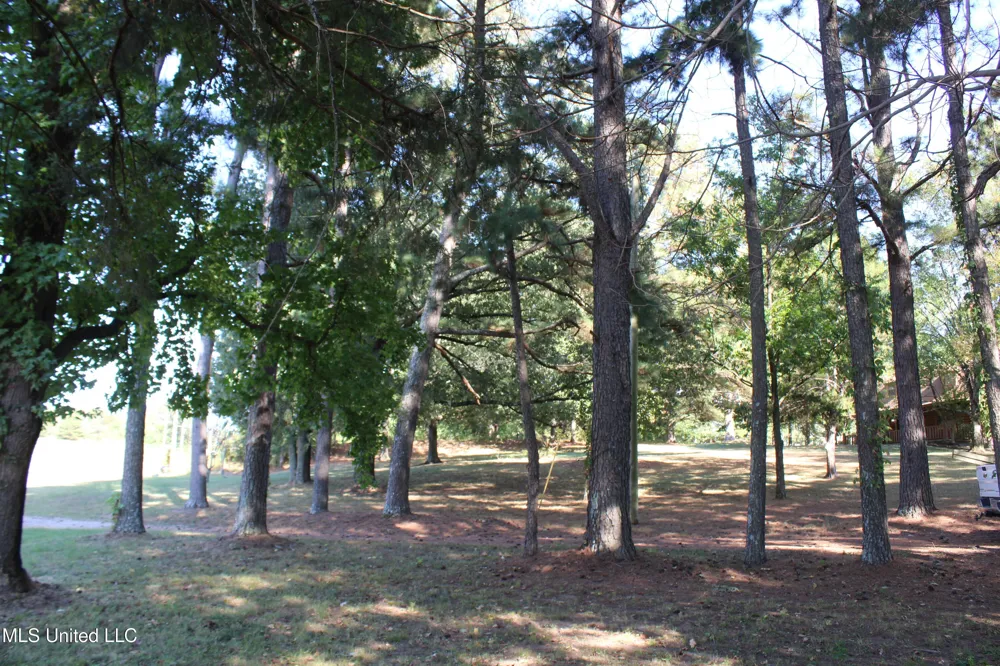 771 W Church Road Southaven, MS 38671