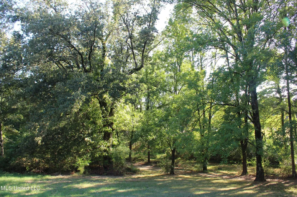 771 W Church Road Southaven, MS 38671