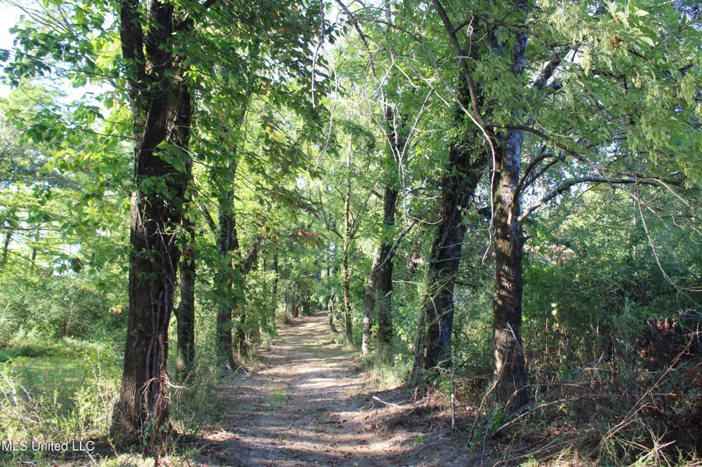 771 W Church Road Southaven, MS 38671