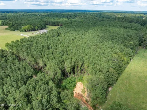 Parcel C J. Runnels Road