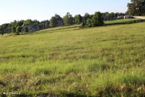 3 Chapel Hill Subdivision