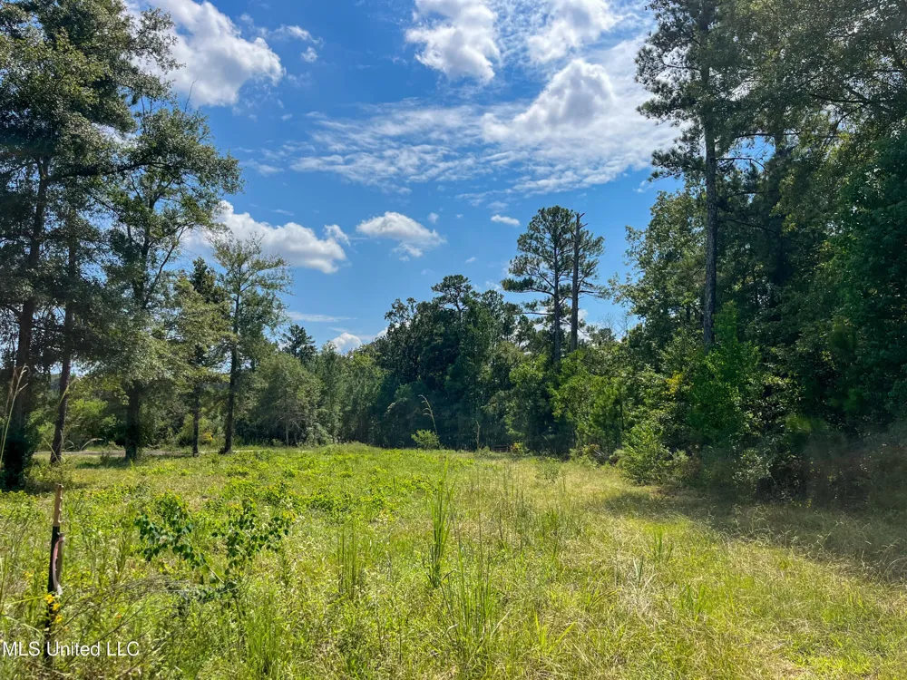 Ms-13 Morton, MS 39117