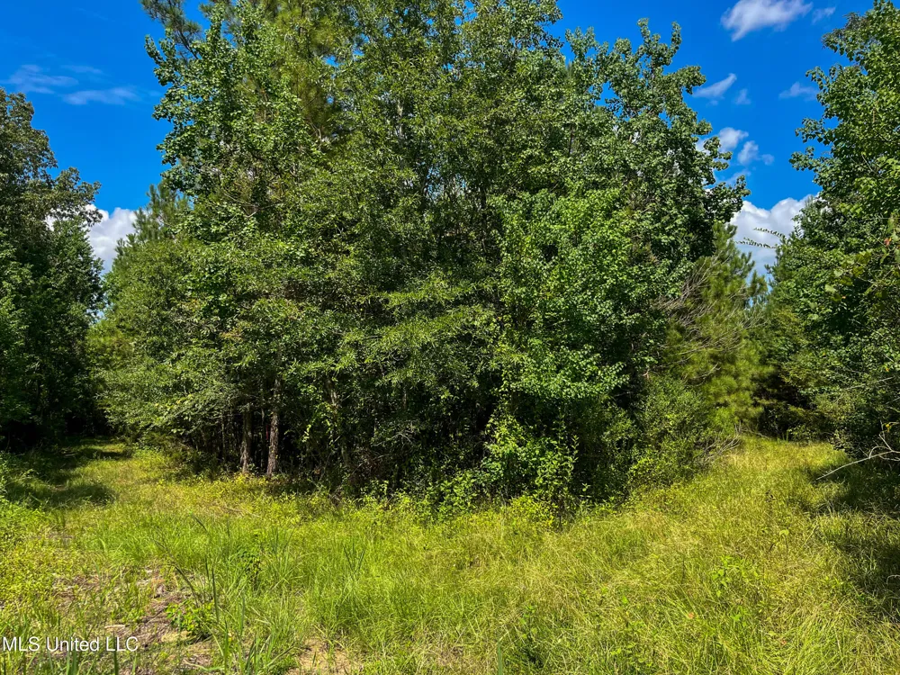 Ms-13 Morton, MS 39117