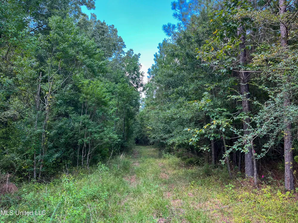Ms-13 Morton, MS 39117