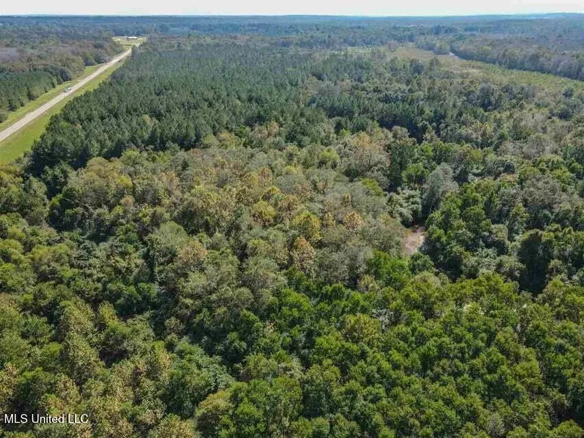 0 Highway 28 Mize, MS 39116