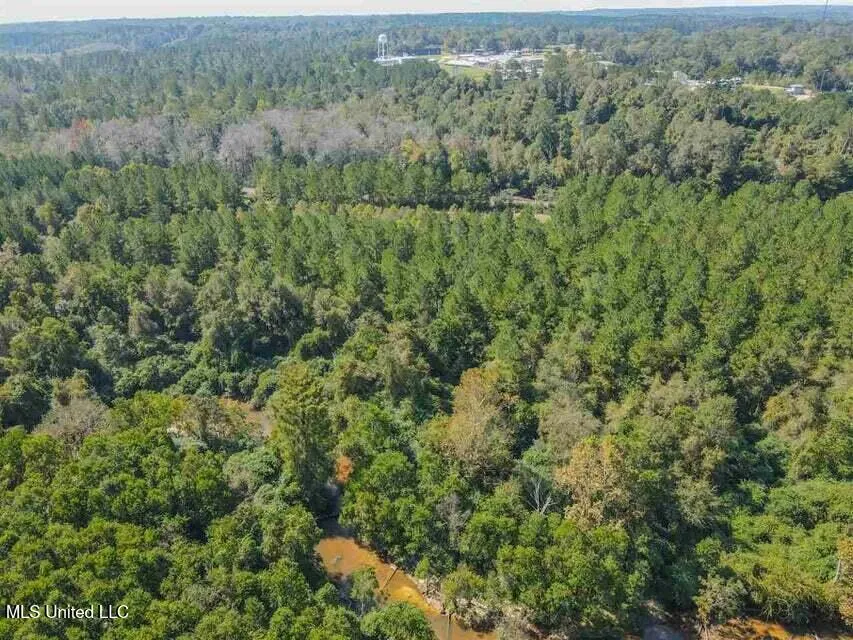 0 Highway 28 Mize, MS 39116