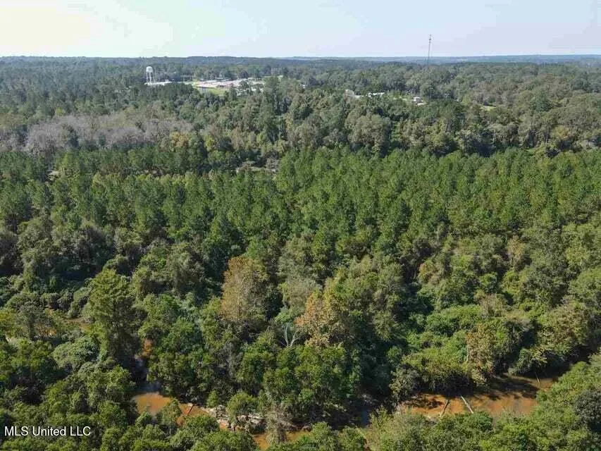 0 Highway 28 Mize, MS 39116