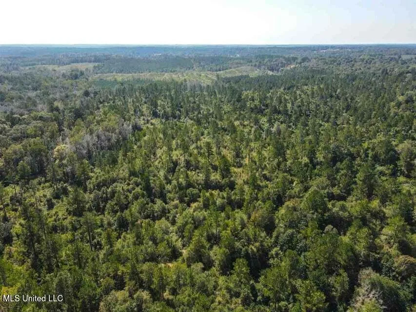 0 Highway 28 Mize, MS 39116