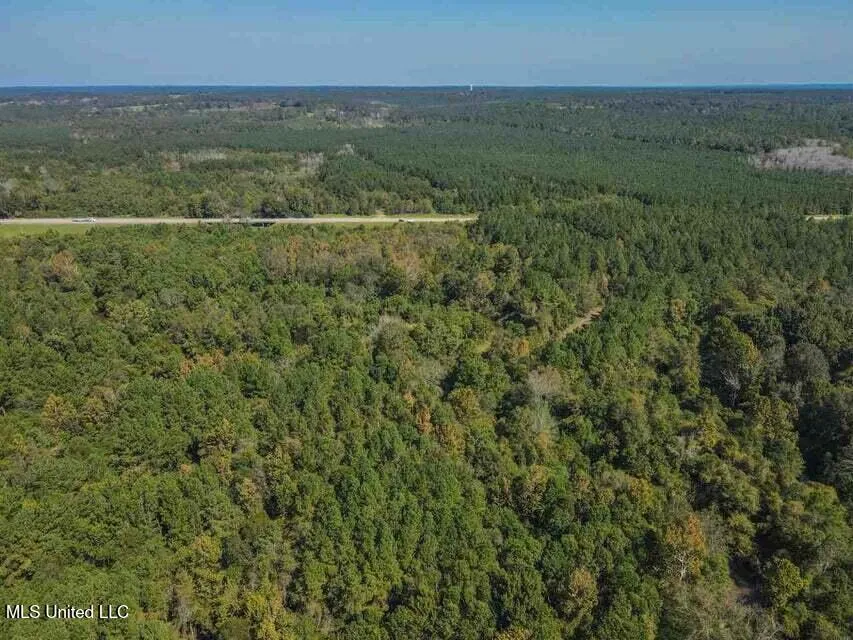 0 Highway 28 Mize, MS 39116