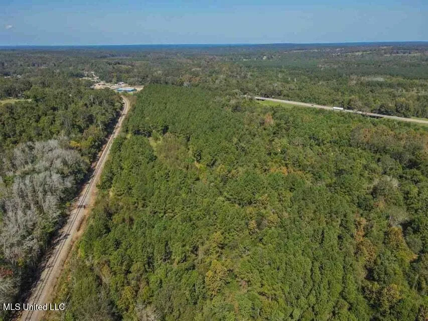 0 Highway 28 Mize, MS 39116