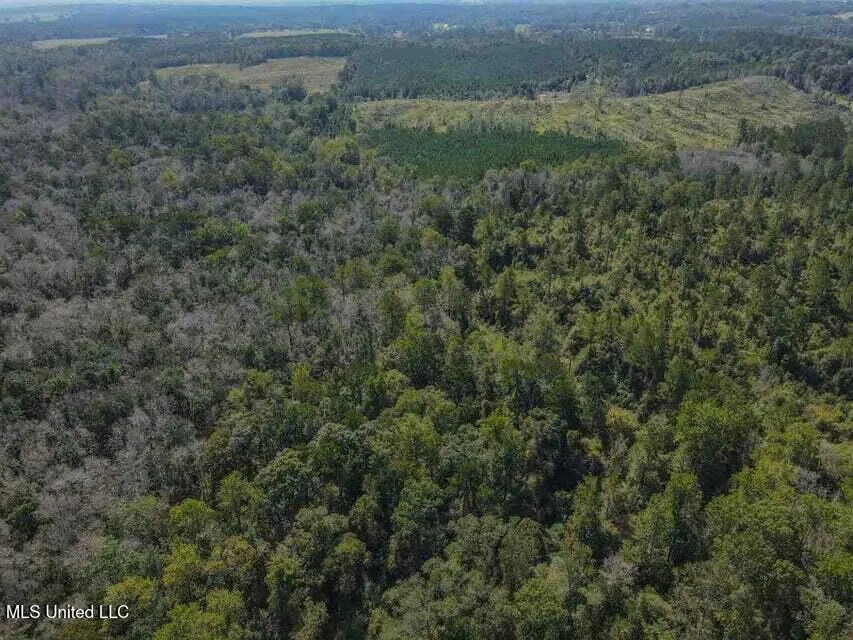 0 Highway 28 Mize, MS 39116