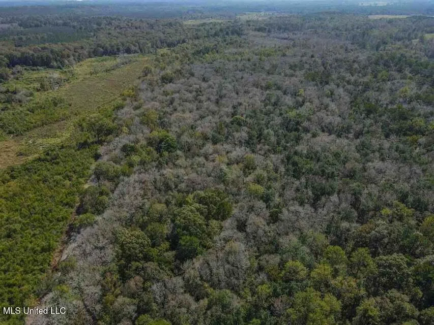 0 Highway 28 Mize, MS 39116