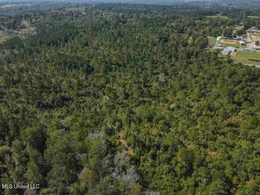 0 Highway 28 Mize, MS 39116