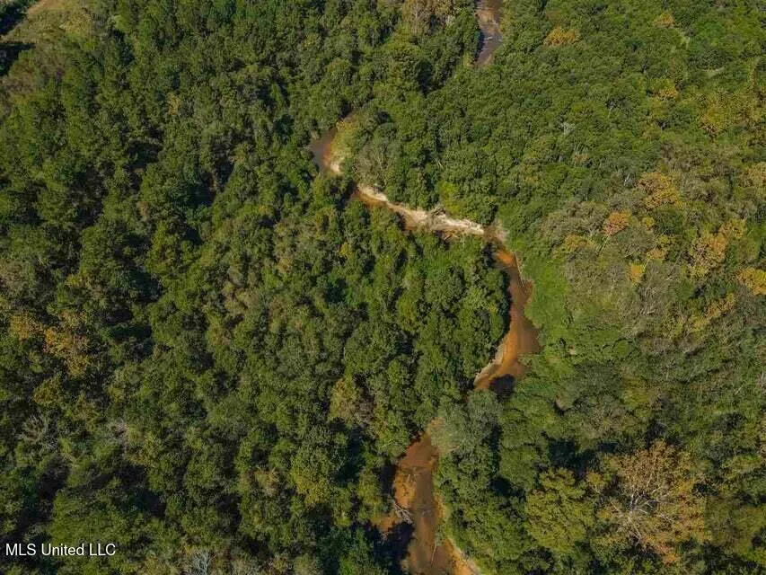 0 Highway 28 Mize, MS 39116