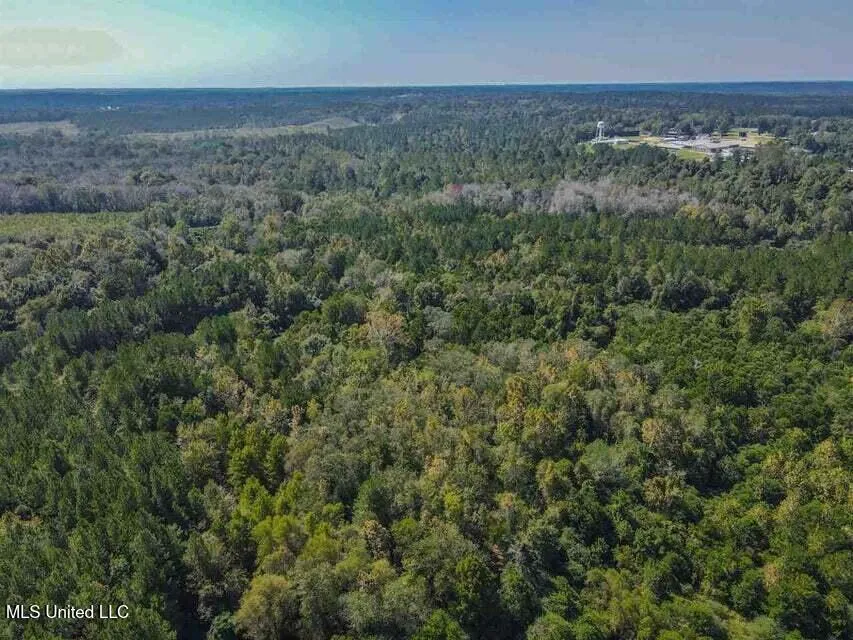 0 Highway 28 Mize, MS 39116