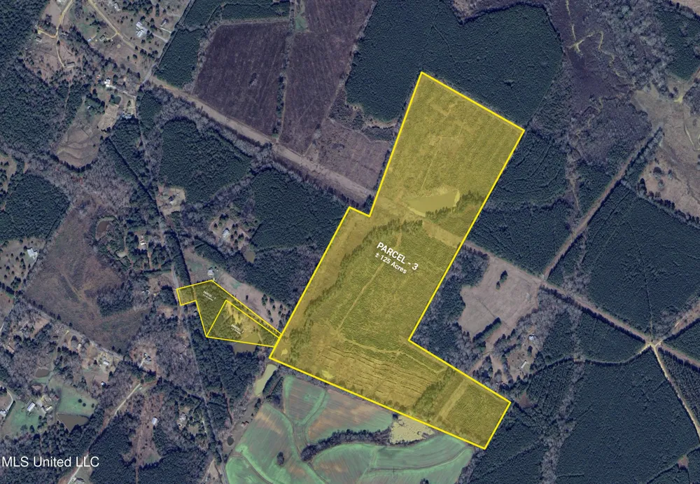 Munn Road Pelahatchie, MS 39145