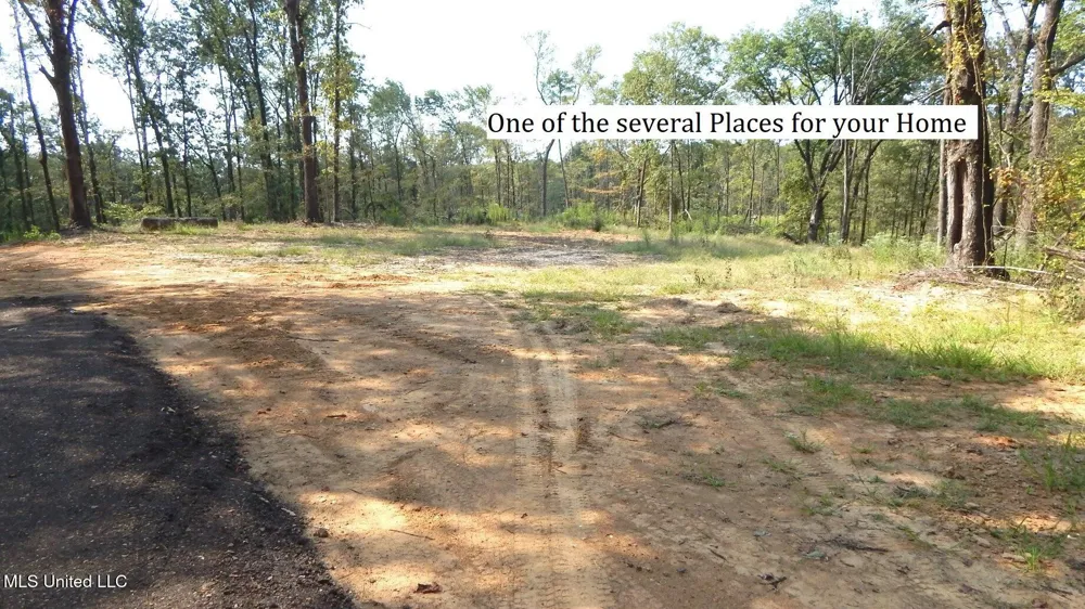 2380 213 Country Road Grenada, MS 38901