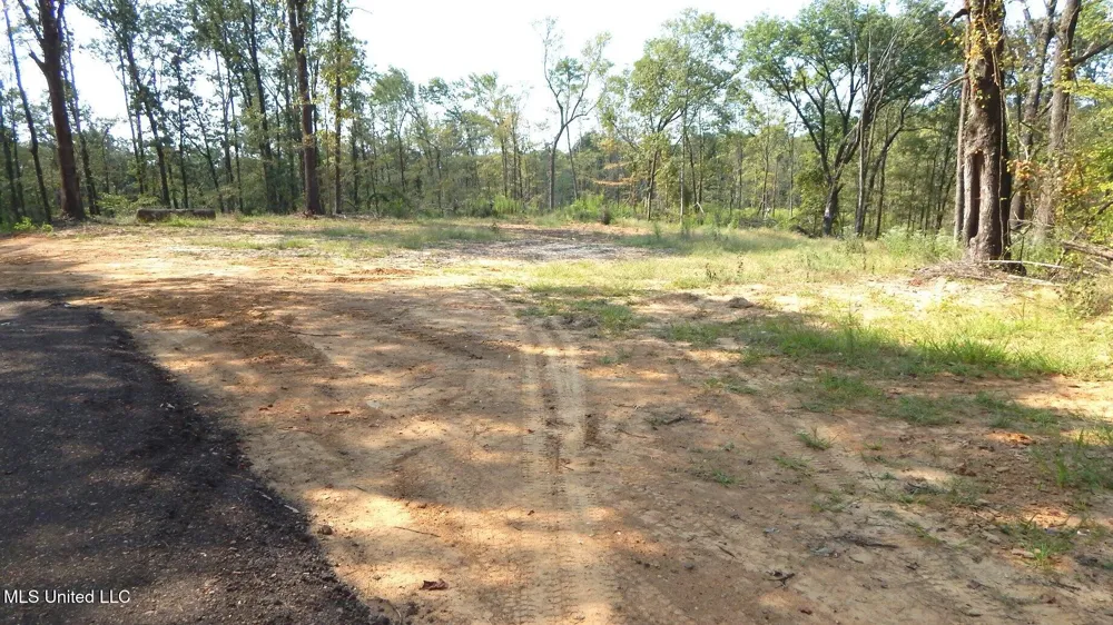 2380 213 Country Road Grenada, MS 38901