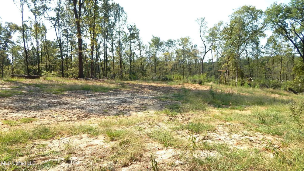 2380 213 Country Road Grenada, MS 38901