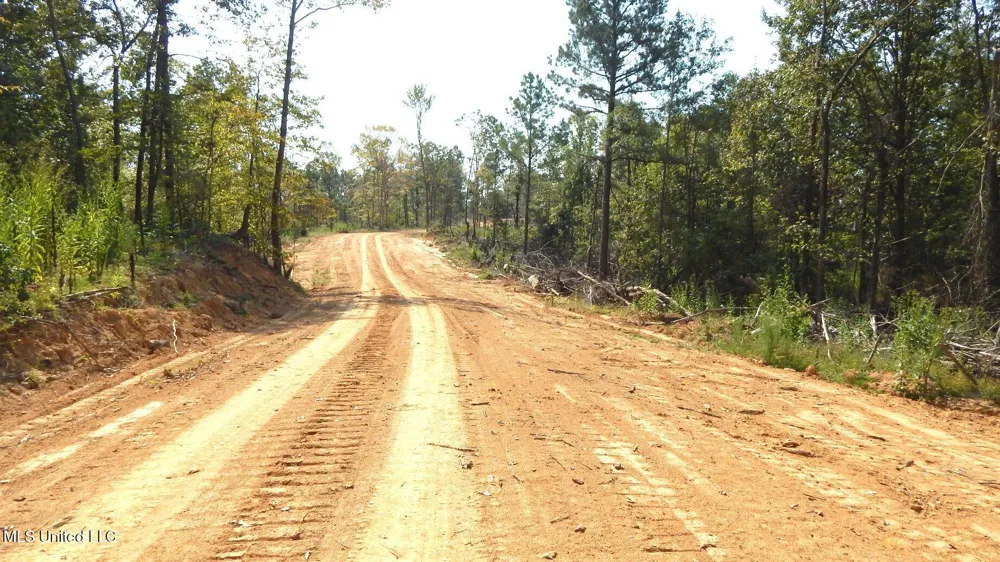 2380 213 Country Road Grenada, MS 38901