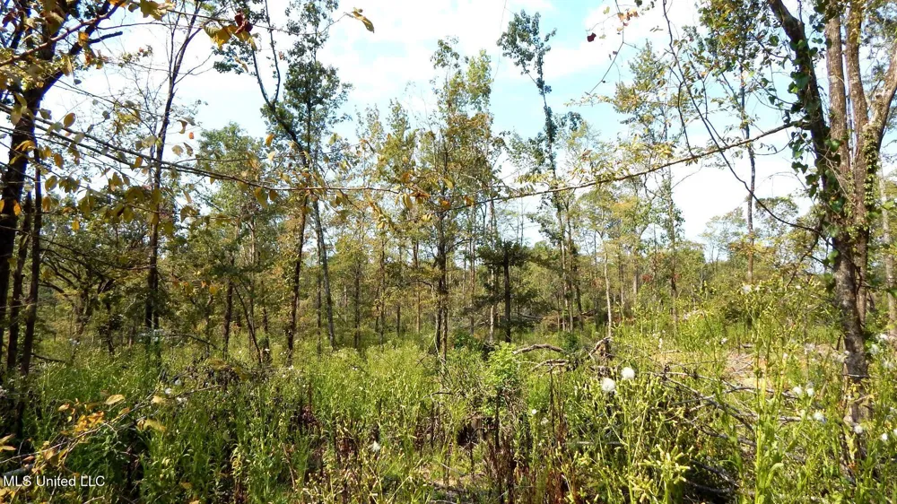 2380 213 Country Road Grenada, MS 38901