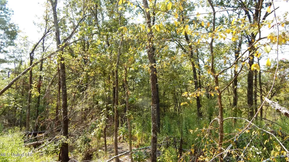 2380 213 Country Road Grenada, MS 38901