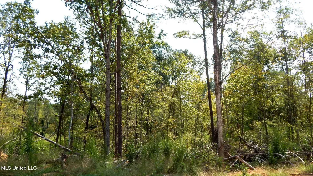 2380 213 Country Road Grenada, MS 38901