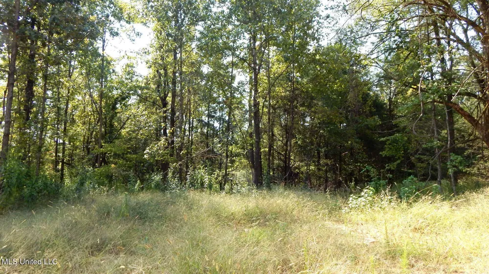 2380 213 Country Road Grenada, MS 38901