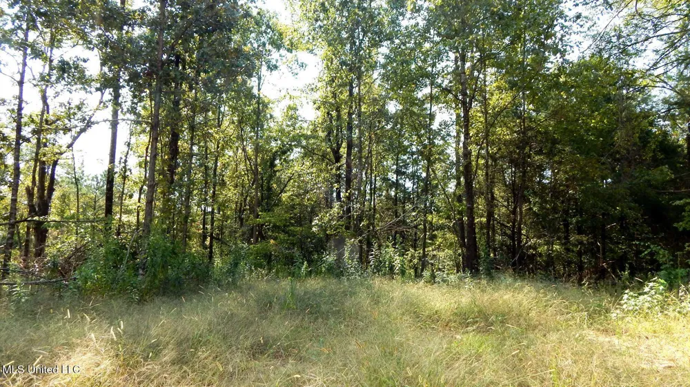 2380 213 Country Road Grenada, MS 38901