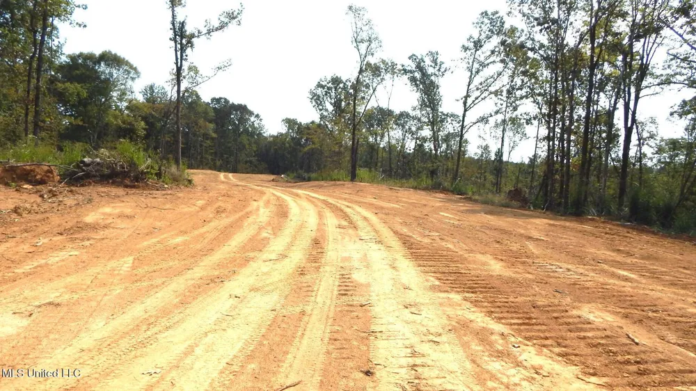 2380 213 Country Road Grenada, MS 38901