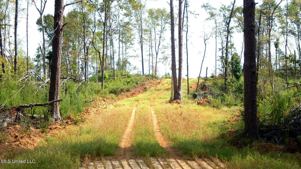 2380 213 Country Road Grenada, MS 38901