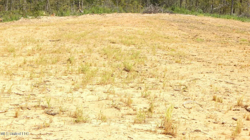 2380 213 Country Road Grenada, MS 38901