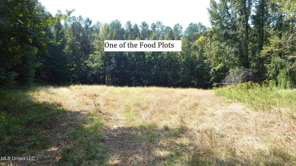 2380 213 Country Road Grenada, MS 38901