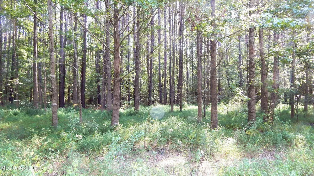 2380 213 Country Road Grenada, MS 38901
