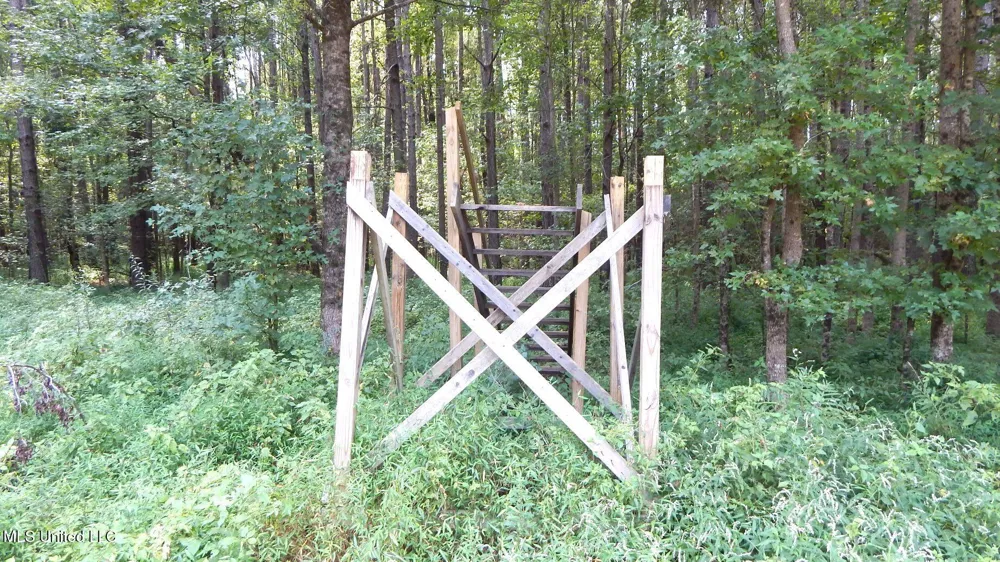 2380 213 Country Road Grenada, MS 38901
