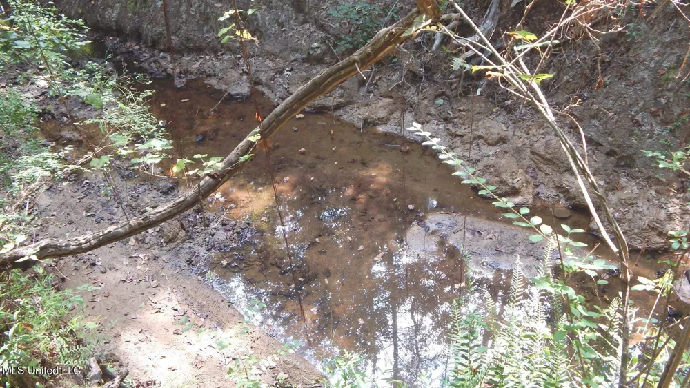 2380 213 Country Road Grenada, MS 38901