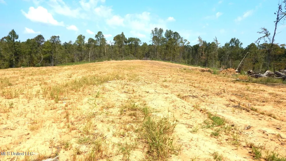 2380 213 Country Road Grenada, MS 38901